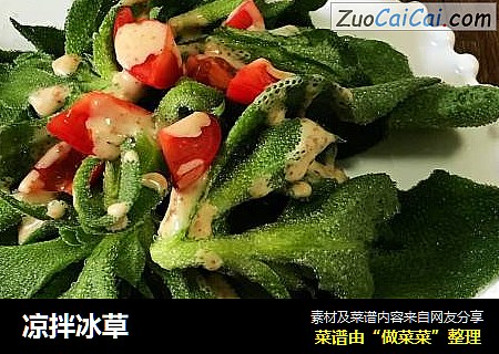凉拌冰草