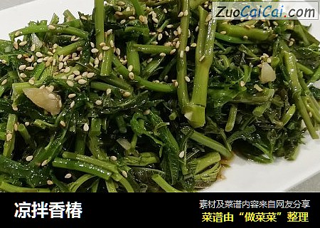 凉拌香椿