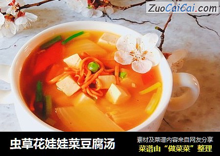虫草花娃娃菜豆腐汤