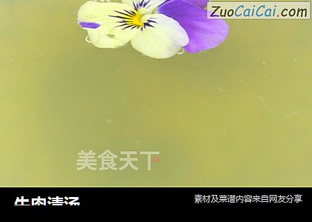 牛肉清汤