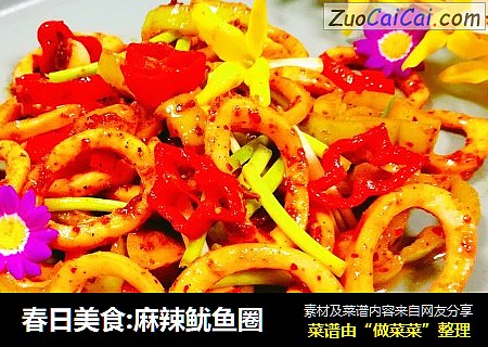 春日美食:麻辣鱿鱼圈