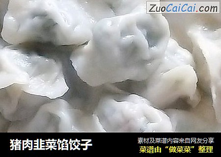 猪肉韭菜馅饺子