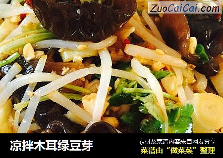 凉拌木耳绿豆芽