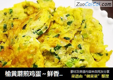 榆黄蘑煎鸡蛋～鲜香的味道，尝过你才知道!