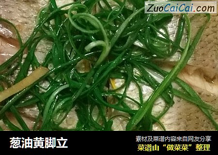 葱油黄脚立