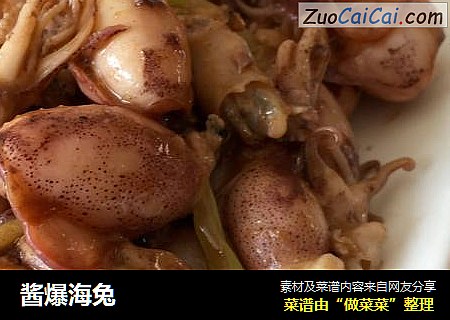 酱爆海兔