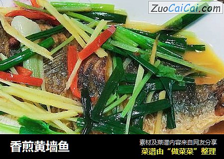 香煎黄墙鱼
