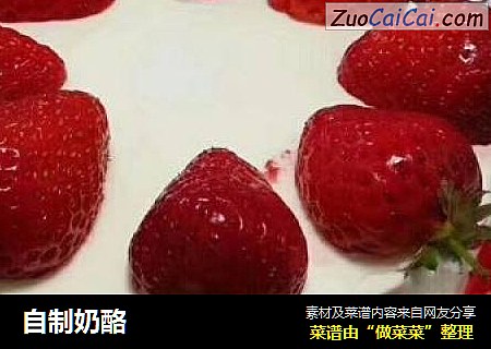 自制奶酪