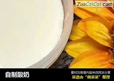 自制酸奶
