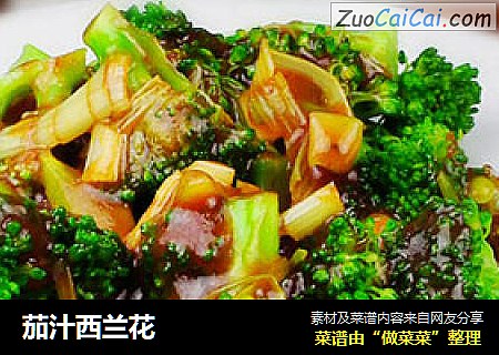 茄汁西兰花