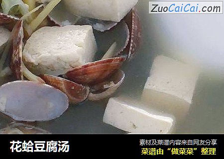 花蛤豆腐汤