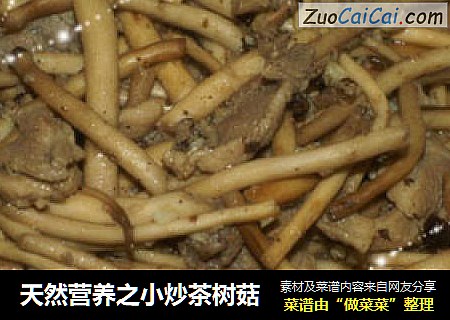 天然营养之小炒茶树菇