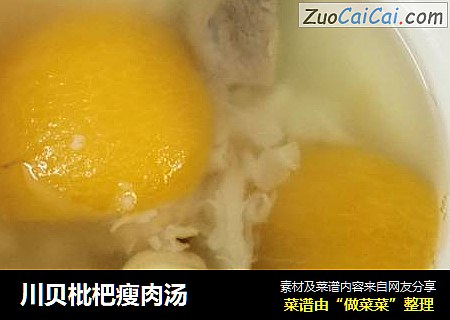 川贝枇杷瘦肉汤