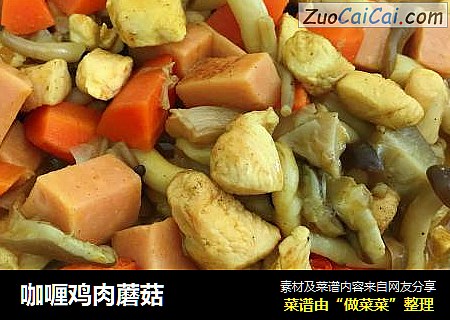 咖喱鸡肉蘑菇