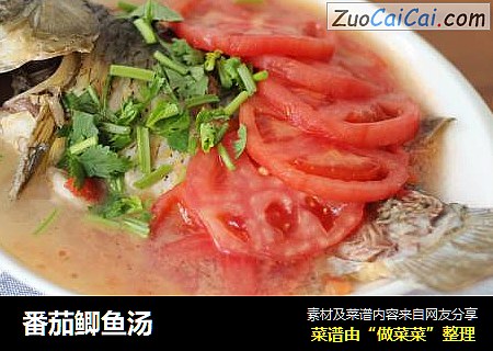 番茄鲫鱼汤