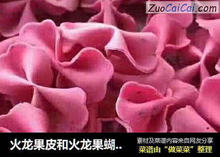 火龙果皮和火龙果蝴蝶面