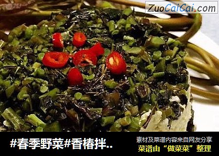 #春季野菜#香椿拌豆腐