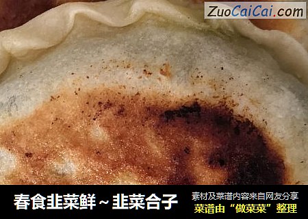 春食韭菜鲜～韭菜合子