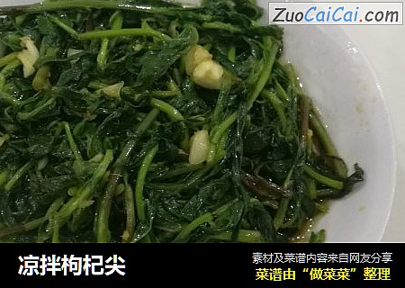 凉拌枸杞尖