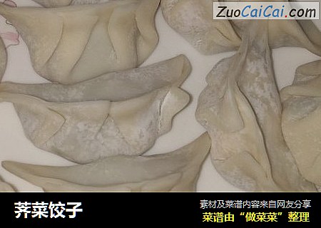荠菜饺子