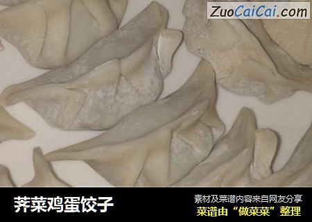 荠菜鸡蛋饺子