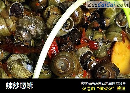 辣炒螺蛳