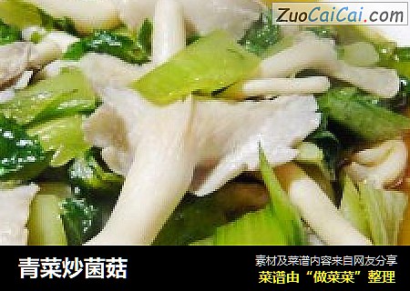 青菜炒菌菇