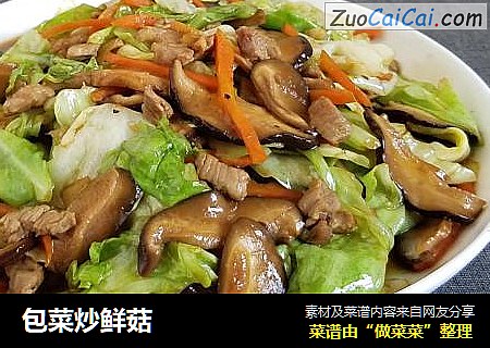 包菜炒鲜菇