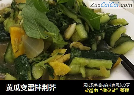 黄瓜变蛋拌荆芥