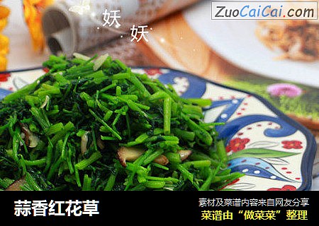 蒜香红花草