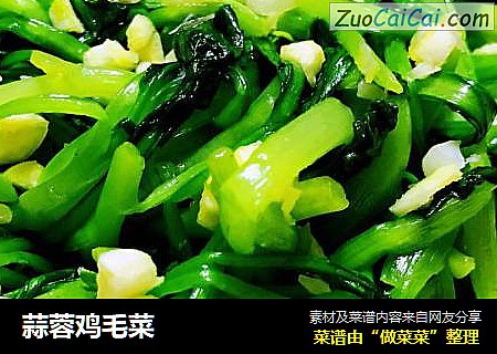 蒜蓉鸡毛菜