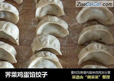 荠菜鸡蛋馅饺子