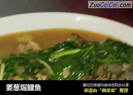姜葱煀鲤鱼