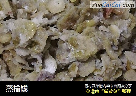 蒸榆钱