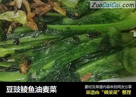 豆豉鲮鱼油麦菜