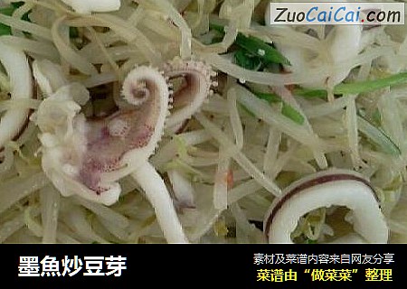墨魚炒豆芽