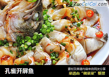 孔雀开屏鱼