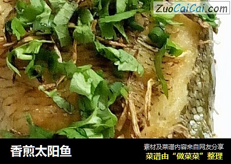 香煎太阳鱼