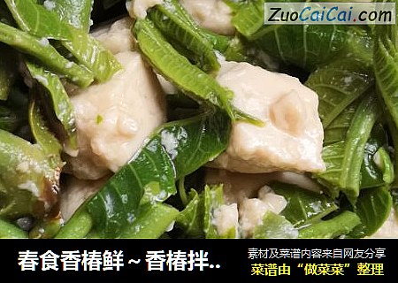 春食香椿鲜～香椿拌豆腐