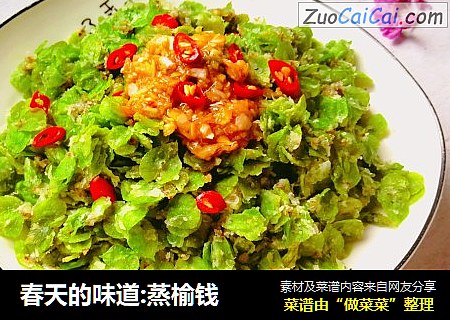 春天的味道:蒸榆钱