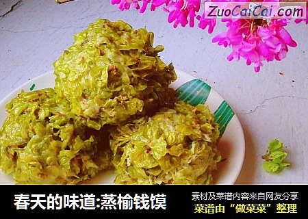 春天的味道:蒸榆钱馍