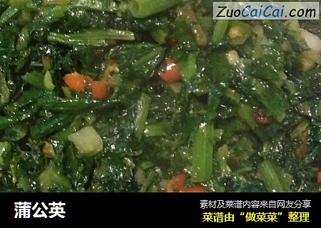 蒲公英