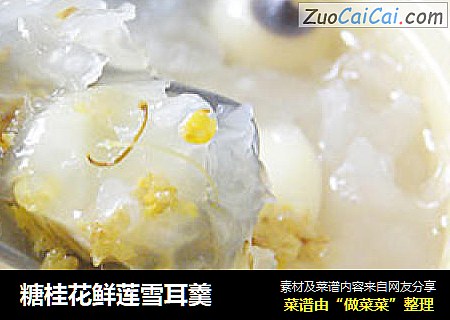糖桂花鲜莲雪耳羹