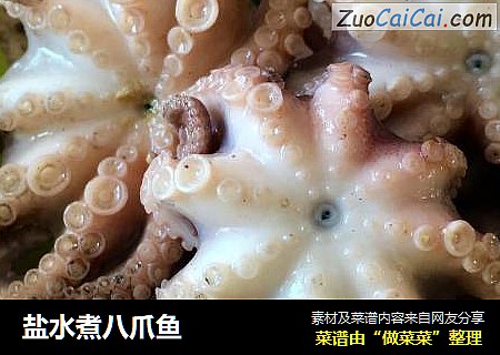 盐水煮八爪鱼