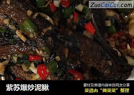 紫苏爆炒泥鳅