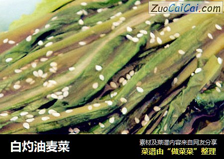 白灼油麦菜
