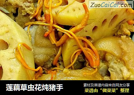 莲藕草虫花炖猪手