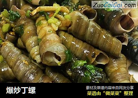 爆炒丁螺