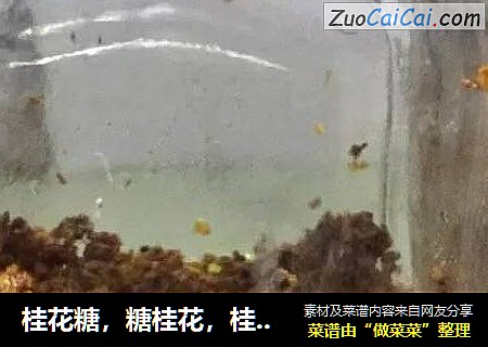 桂花糖，糖桂花，桂花蜜