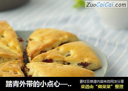 踏青外带的小点心——蔓越莓司康